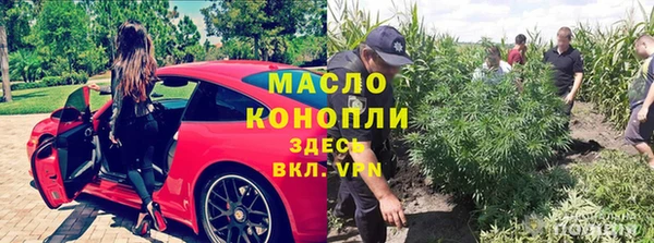 молекула духа Алексеевка