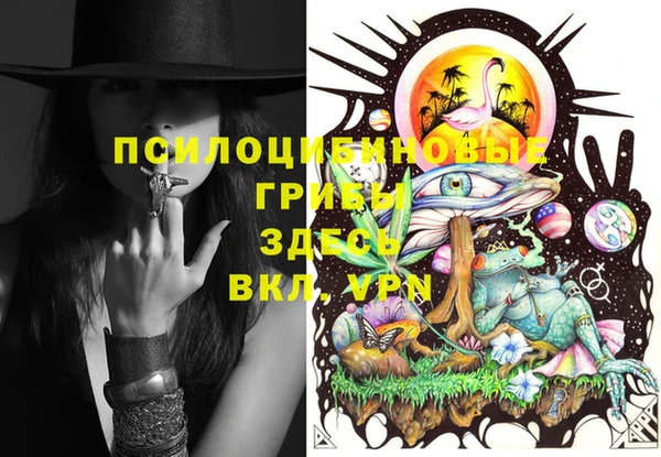 молекула духа Алексеевка