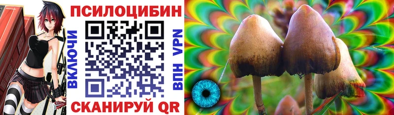 дарк нет телеграм  Новочеркасск  Псилоцибиновые грибы Magic Shrooms 